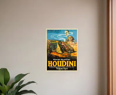 HIVVAGO HOUDINI MASTER MYSTIFIER VINTAGE MAGIC UNFRAMED PRINT WALL ART
