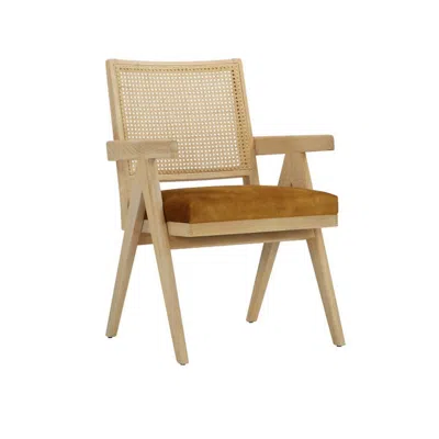 Hivvago Isha 24 Inch Armchair With Cane Back, Gold Brown Velvet, Brown Wood Frame