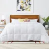 Hivvago King Size Cozy All Seasons Plush White Polyester Down Alternative Comforter In White