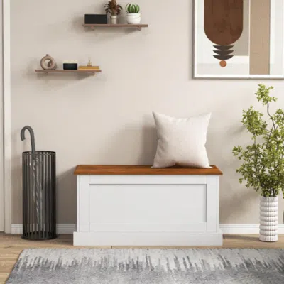 Hivvago Large Storage Chest With Safety Metal Hinge-white