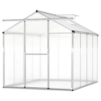Hivvago Large Walk-in Green House With Rain Gutters And Polycarbonate Panels In Silver