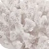 Hivvago Lily 9 Inch Faux Coral Accent Sculpture, Polyresin Table Decoration, White In White