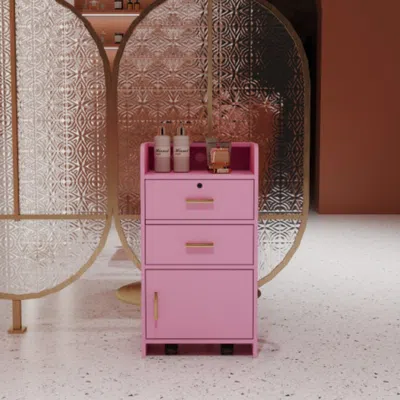 Hivvago Locking Beauty Salon Storage Cabinet Hair Dryer Holder With Drawer In Pink