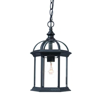 Hivvago Matte Black Cage Hanging Light