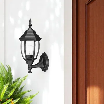 Hivvago Matte Black Globe Lantern Wall Light
