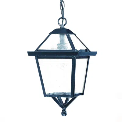Hivvago Matte Black Hanging Lantern Light