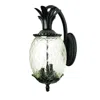 Hivvago Matte Black Hanging Pineapple Wall Light