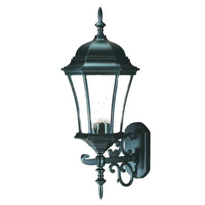 Hivvago Matte Black Ornamental Carousel Lantern Wall Light