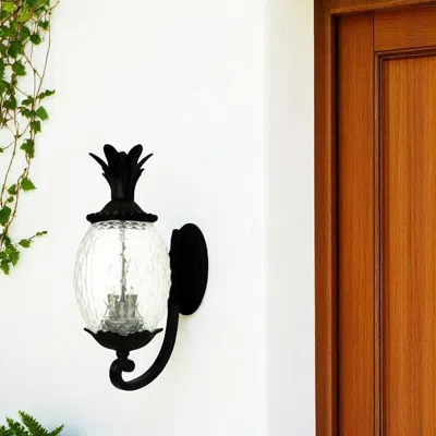 Hivvago Matte Black Pineapple Wall Light