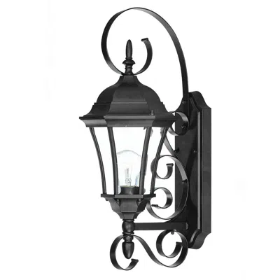 Hivvago Matte Black Swing Arm Lantern Wall Light