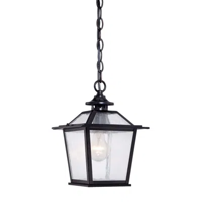 Hivvago Matte Black Terrarium Shape Hanging Light