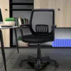 Hivvago Mid-back Mesh Height Adjustable Executive Chair With Lumbar Support