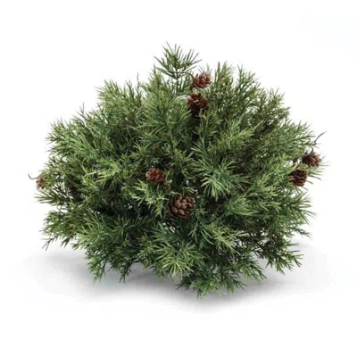 Hivvago Mixed Pine Half Orb In Green