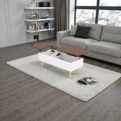 Hivvago Modern 47" Coffee Table With Lift-top Design And Two Secret Storage Spaces In White