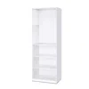 Hivvago Modern 5-shelf Bookcase In White Wood Finish In White