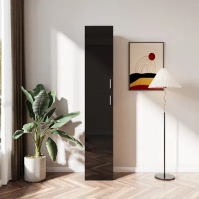 Hivvago Modern Black Freestanding Cabinet With Adjustable Shelves And Two Doors