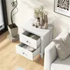 Hivvago Modern Nightstand With 2 Drawers For Small Spaces-white