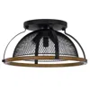 Hivvago Monty 16 Inch Semi Flush Ceiling Mount Light Fixture, Black Mesh Shade In Black