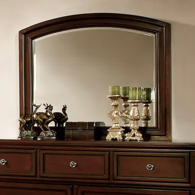 Hivvago Northville Transitional Style Mirror In Brown