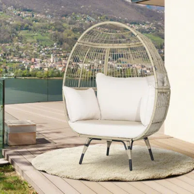 Hivvago Oversized Indoor Wicker Egg Chair With Sturdy Metal Frame For Patio-black In Neutral