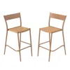 Hivvago Patio Barstools Set Of 2 With Rattan Seat And Metal Backrest-light Brown