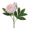 Hivvago Peony Floral Spray (set Of 6) In Multi