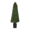 Hivvago Potted Boxwood Cone Topiary 51"h In Green