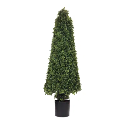 Hivvago Potted Boxwood Cone Topiary 51"h In Green