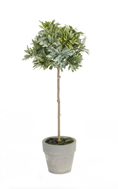Hivvago Potted Herb (set Of 2) In Green