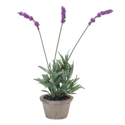 Hivvago Potted Lavender 14.5"h In Multi