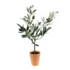 Hivvago Potted Olive Tree Topiary 22"h In Multi