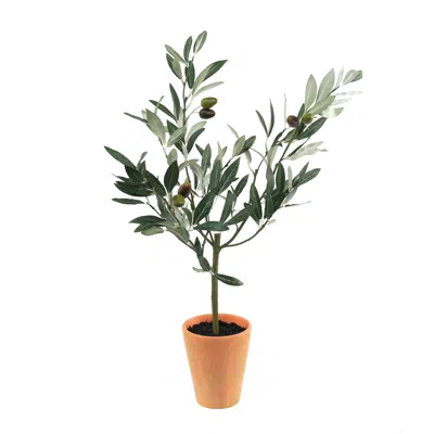 Hivvago Potted Olive Tree Topiary 22"h In Multi