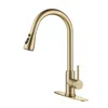 Hivvago Pull Out Sprayer Kitchen Faucet - Gold In Gold