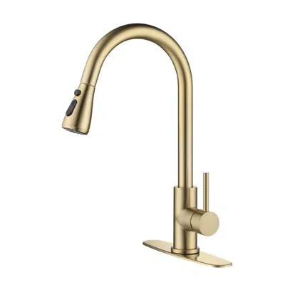 Hivvago Pull Out Sprayer Kitchen Faucet - Gold
