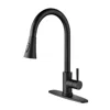 Hivvago Pull Out Sprayer Kitchen Faucet - Matte Black