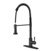 Hivvago Pull Out Sprayer Kitchen Faucet - Matte Black In Black