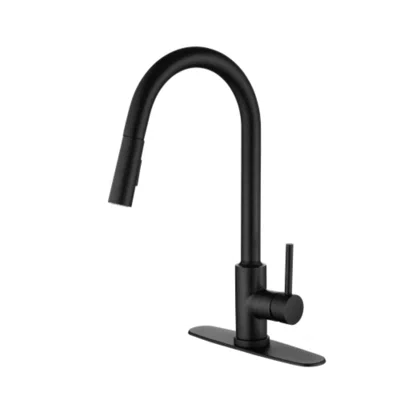 Hivvago Pull Out Sprayer Kitchen Faucet - Matte Black