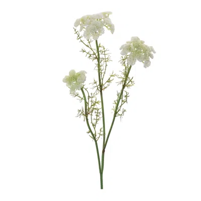 Hivvago Queen Anne's Lace Floral Spray (set Of 6) In Green