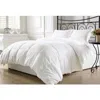 Hivvago Queen Size Hypoallergenic Down Alternative Comforter In White In White