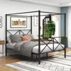 Hivvago Quick Assembly Queen Sized Metal Canopy X Shaped Platform Bed Frame - Black