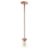 Hivvago Rose Gold And Clear Cylinder Iron Ceiling Light With Clear Shades In Metallic