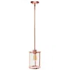 Hivvago Rose Gold And Clear Cylinder Iron Ceiling Light With Clear Shades In Metallic