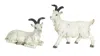 Hivvago Rustic Mountain Goat Figurine (set Of 2) In White