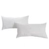 Hivvago Set Of 2 -king Size Bed Pillow With Plush Polyester Fill And 2 Pillowcases
