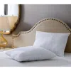 Hivvago Set Of 2 -standard Size Bed Pillow With Plush Polyester Fill And 2 Pillowcases In White
