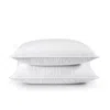 Hivvago Set Of 2 Machine Washable Down Feather Blend Pillow In White