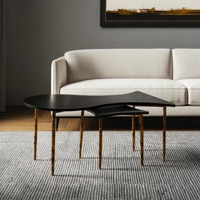 Hivvago Set Of Two Black And Bronze Wood And Steel Free Form Coffee And End Table In White