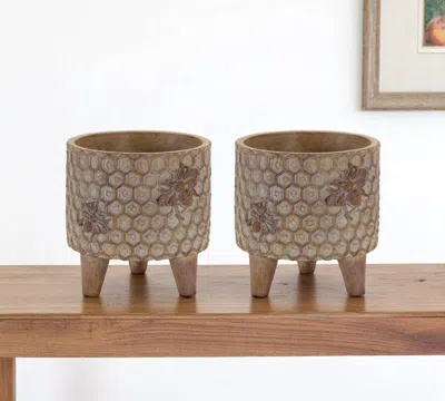 Hivvago Set Of Two Brown Polyresin 3 Ounce Bumble Bee Pot Planters