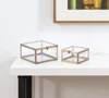 Hivvago Set Of Two Clear And Gold Glass Decorative Keepsake Boxes In Transparent