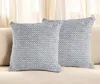 Hivvago Set Of Two Gray And White Geometric Cotton Throw Pillow In Blue